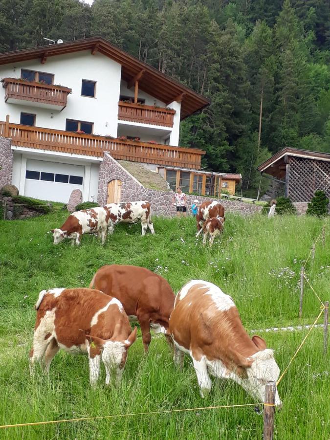 Ferienwohnung Polzhof Kastelruth Exterior foto